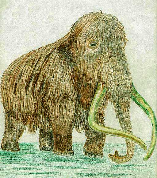 Tube Animaux – Préhistorique
